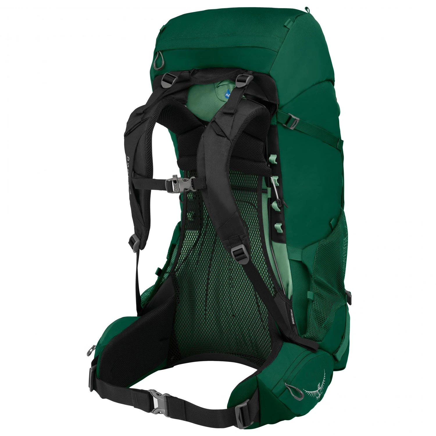 Osprey Rook 50 - Trekkingrucksack – Bild 2