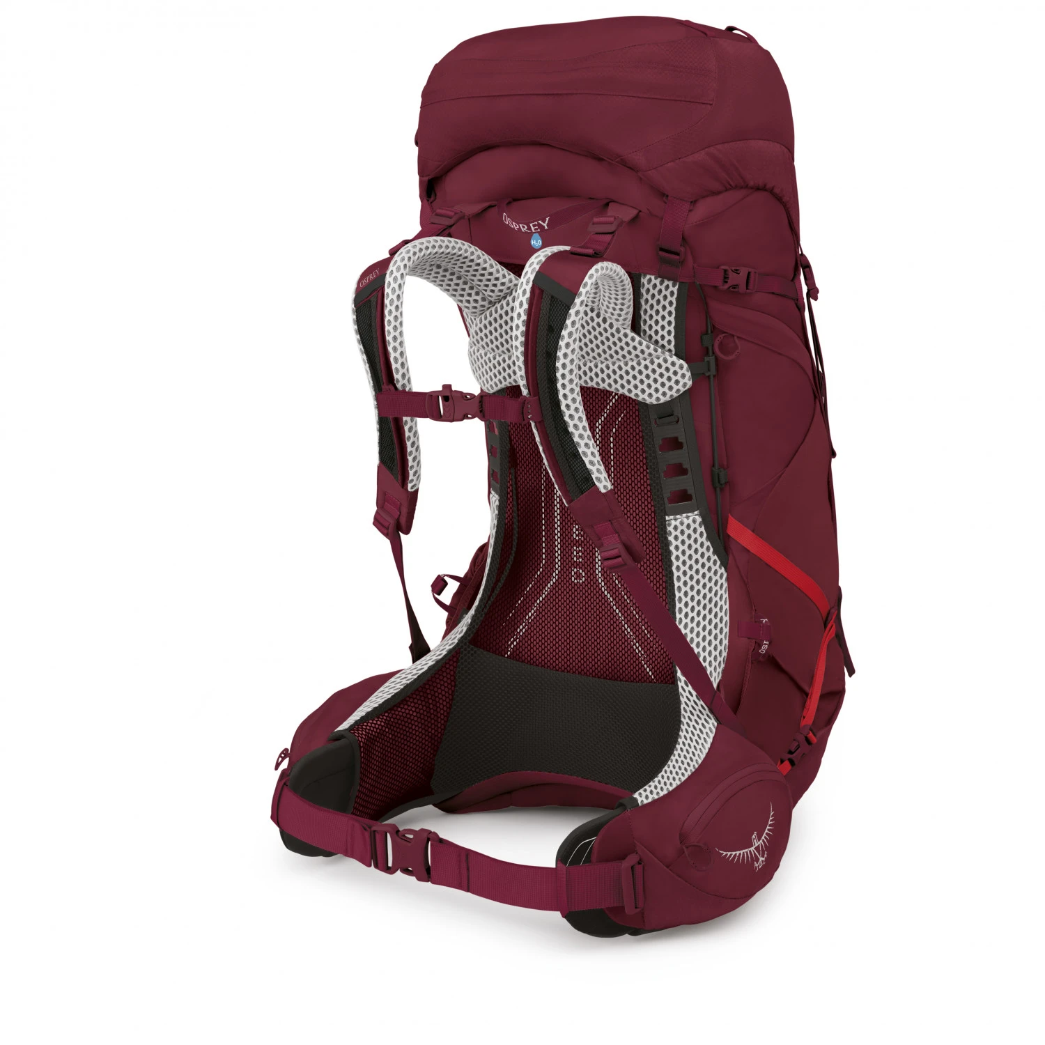 Osprey Women's Aura AG LT 50 - Trekkingrucksack – Bild 3