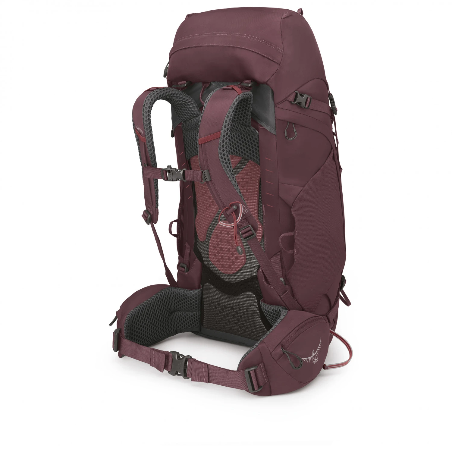 Osprey Women's Kyte 48 - Trekkingrucksack – Bild 3